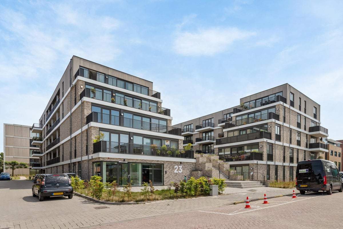 Afbeelding 3 van 44