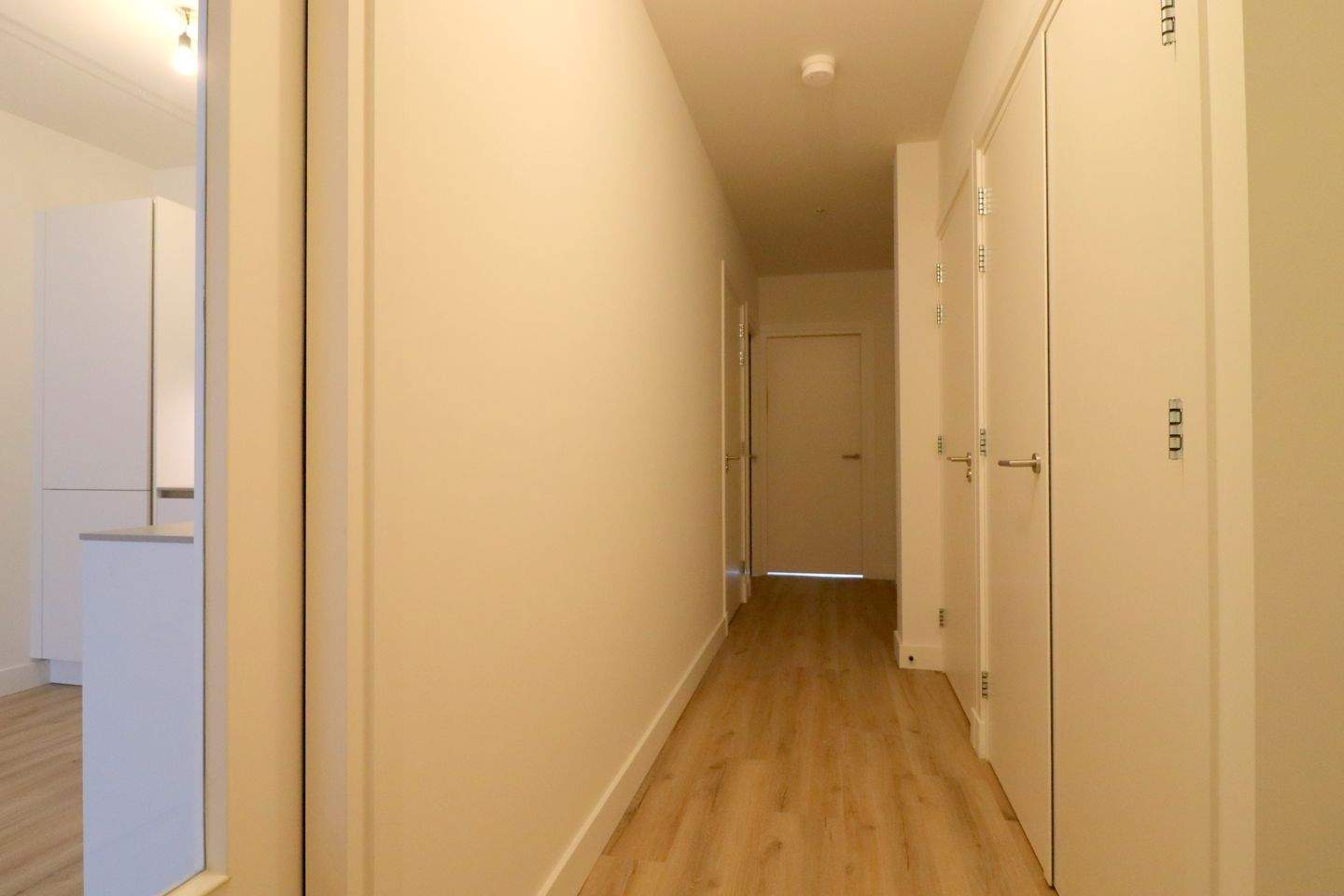 Image 5 of 12