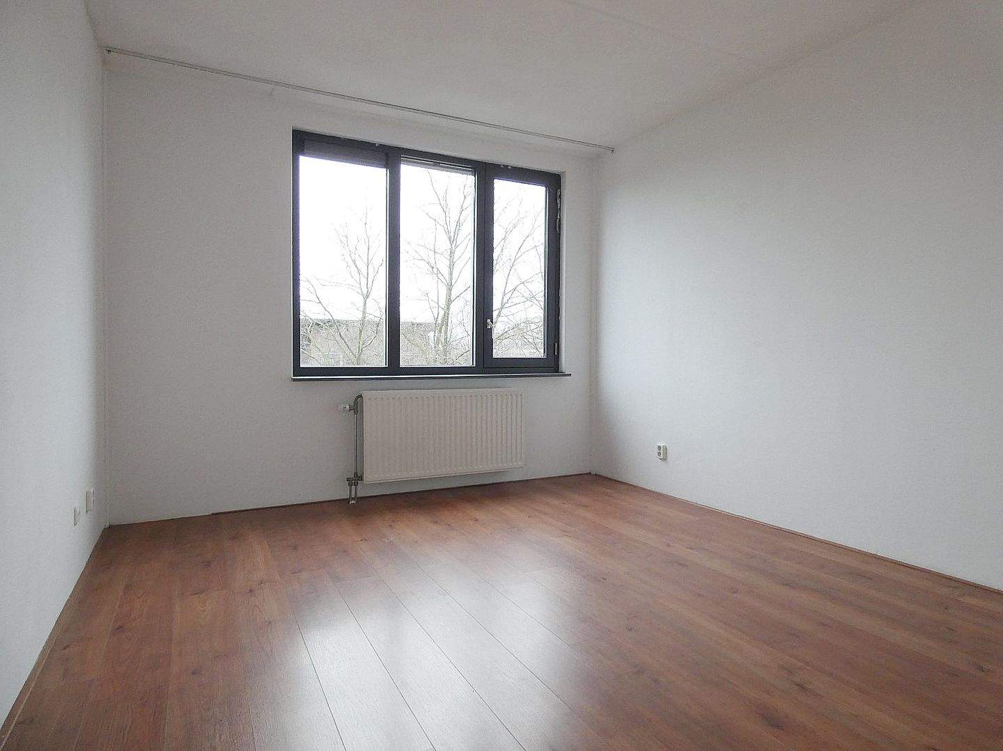 Bild 10 von 21