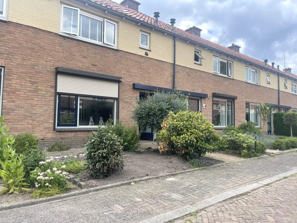 Afbeelding 2 van 21