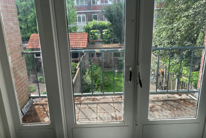 Image 3 of 10