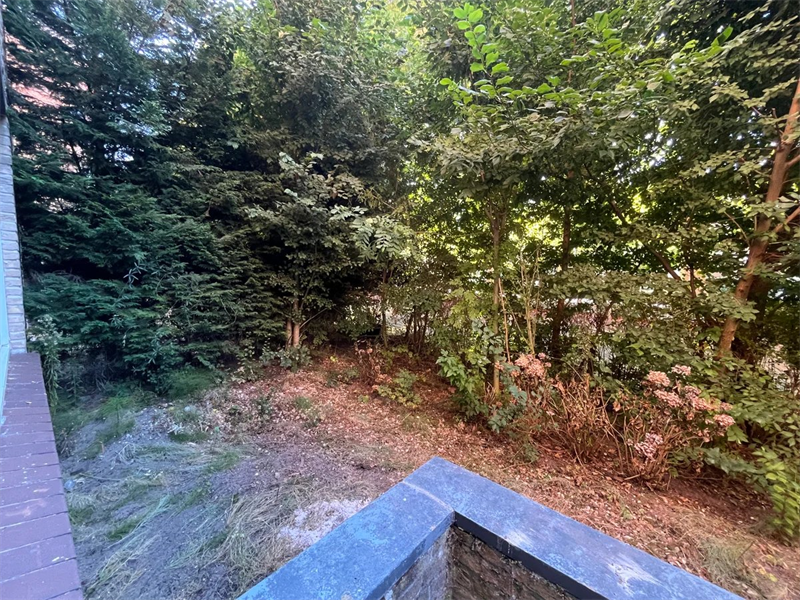 Bild 5 von 14