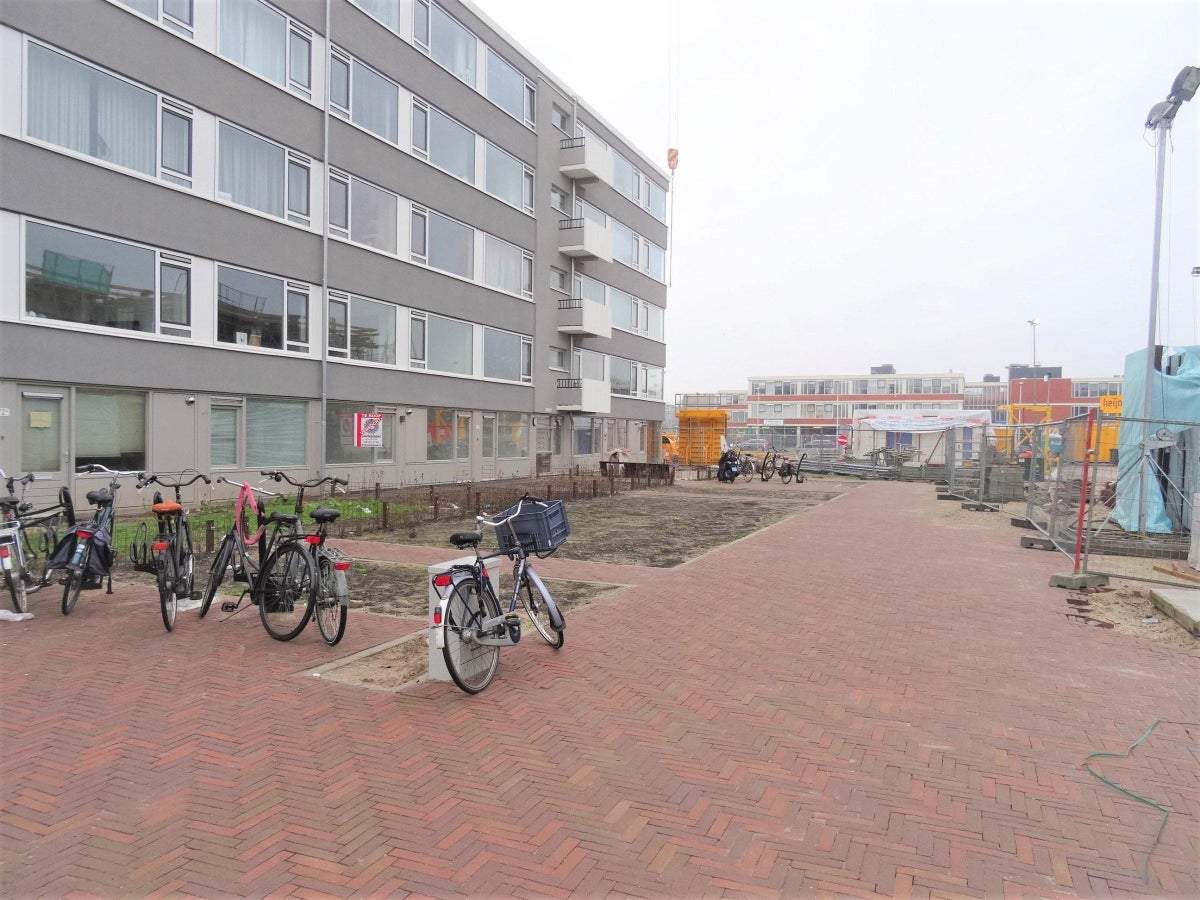 Image 1 of 19