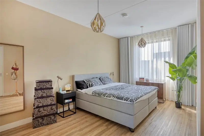 Imagen 10 de 16