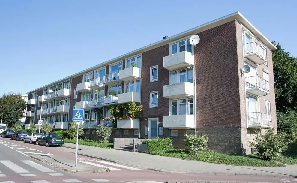 Afbeelding 1 van 1