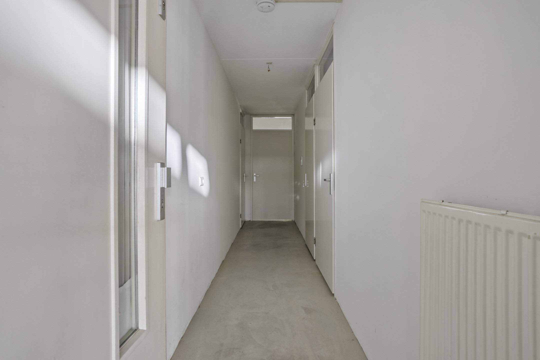Image 5 of 22