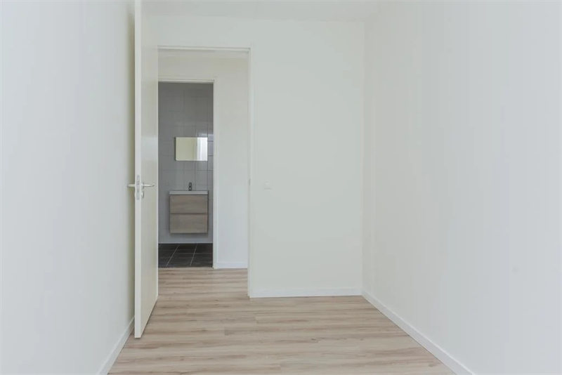 Image 6 of 12