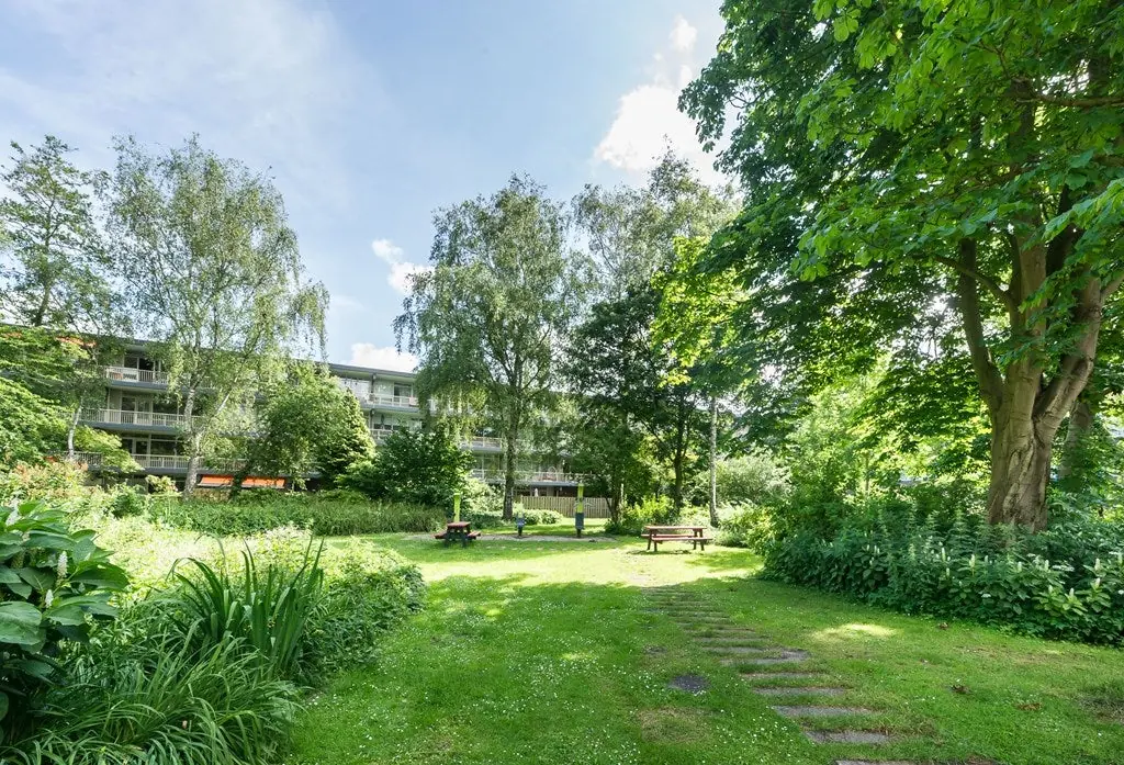 Image 22 of 25