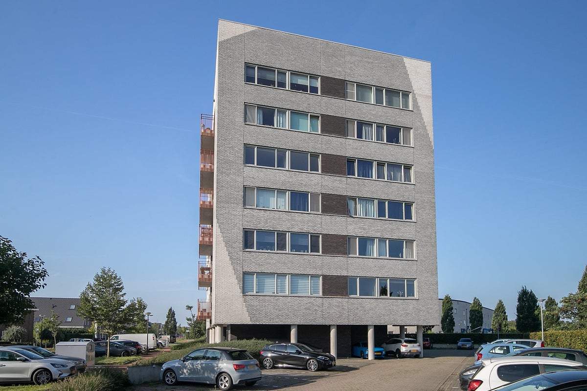 Image 2 of 25