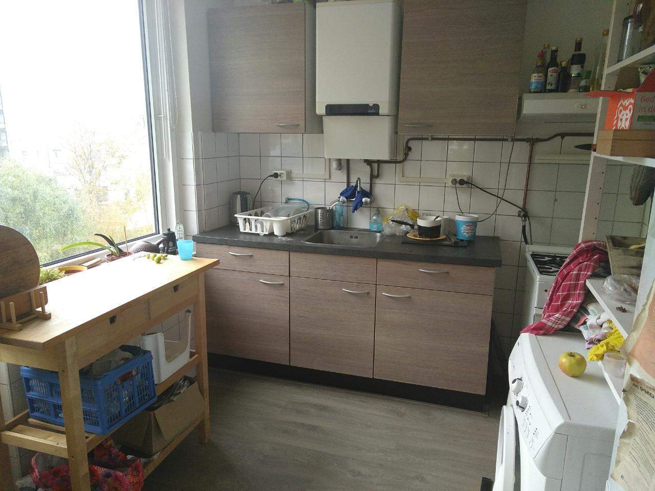 Image 2 of 7