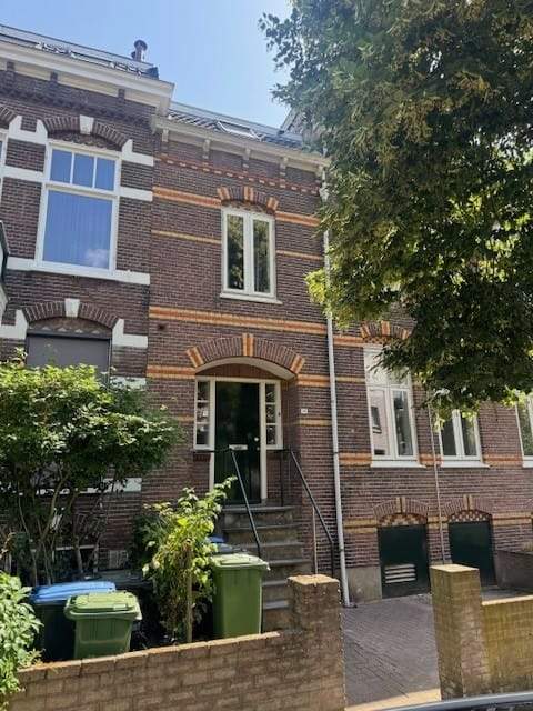 Afbeelding 2 van 12