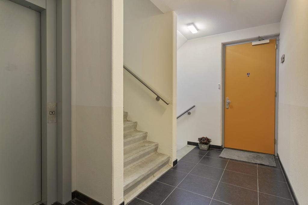 Image 24 sur 28