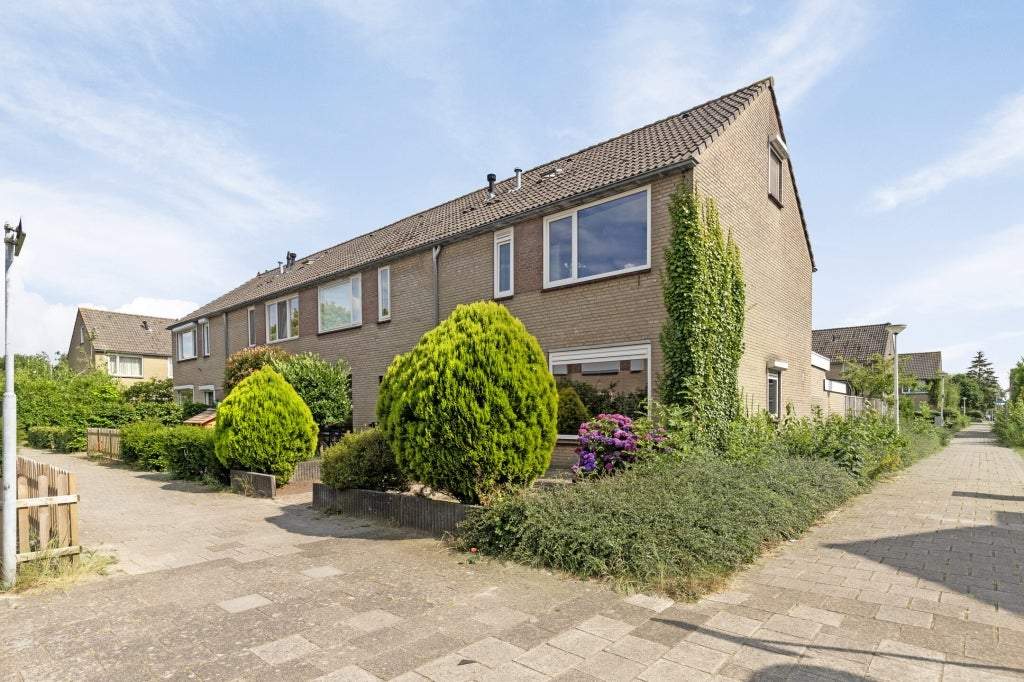 Afbeelding 1 van 20