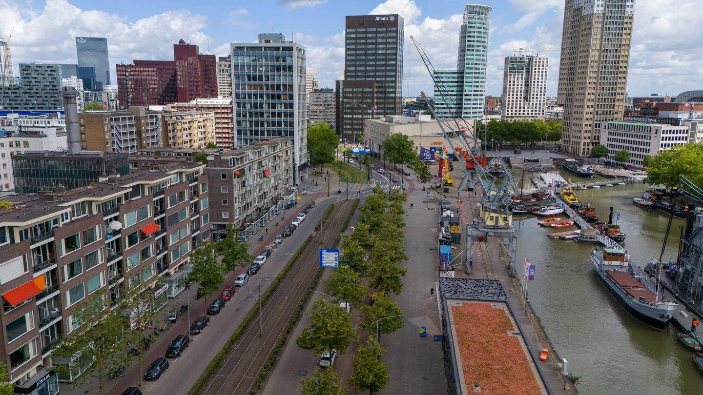 Afbeelding 2 van 7