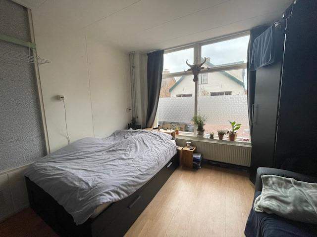 Bild 2 von 9