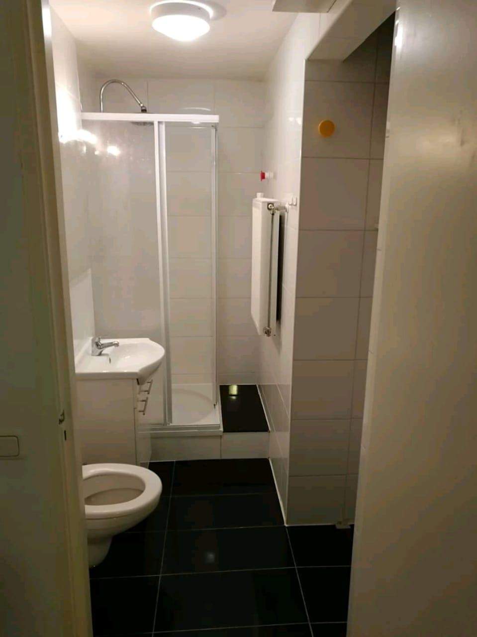 Afbeelding 3 van 3