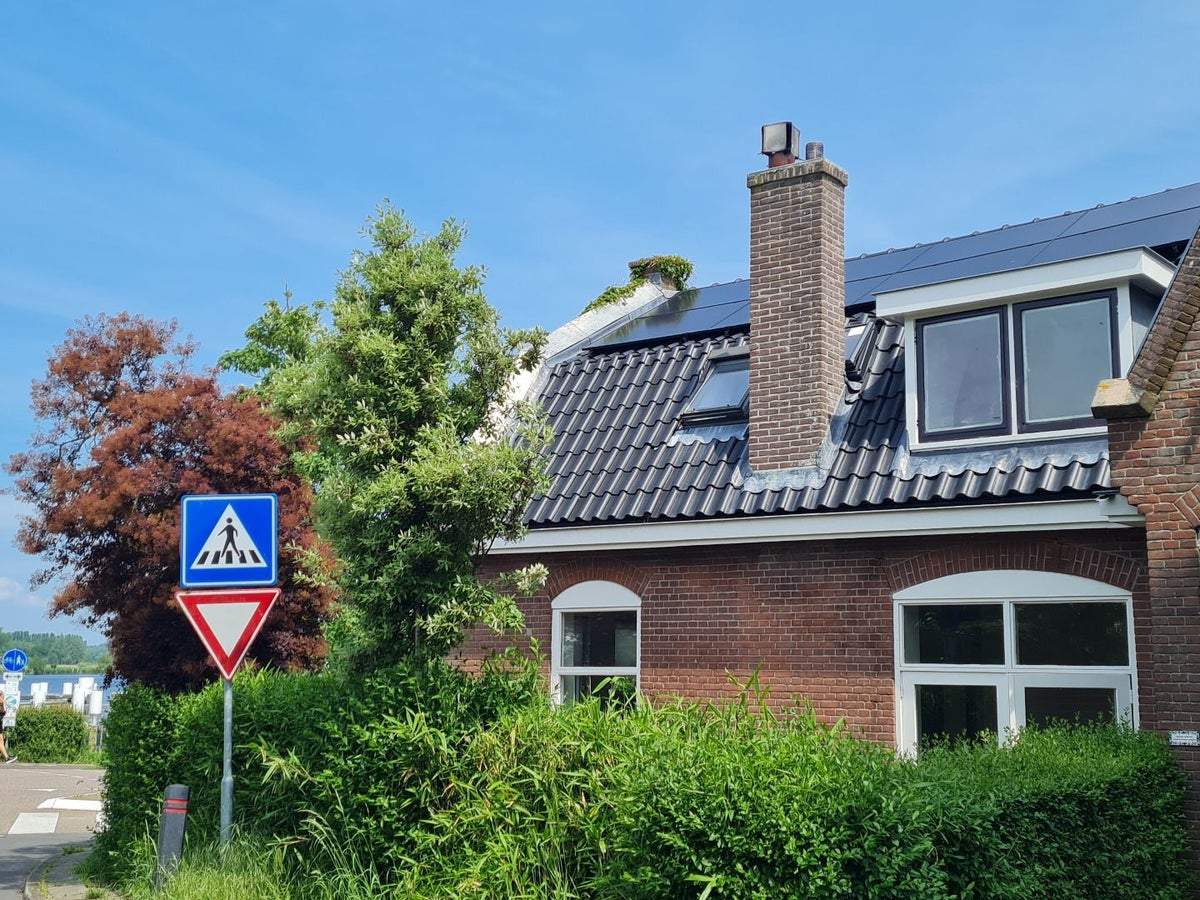 Afbeelding 2 van 49