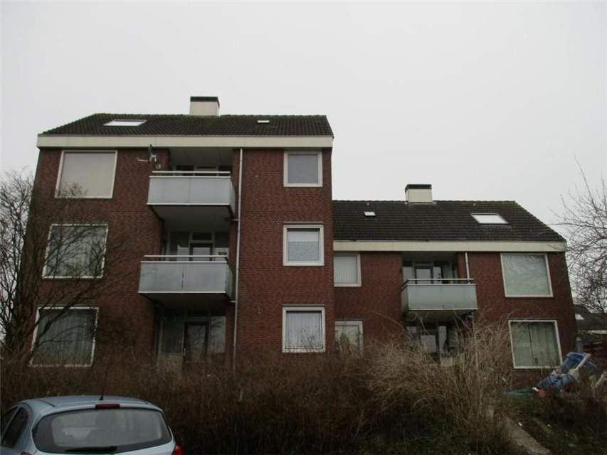 Afbeelding 3 van 6