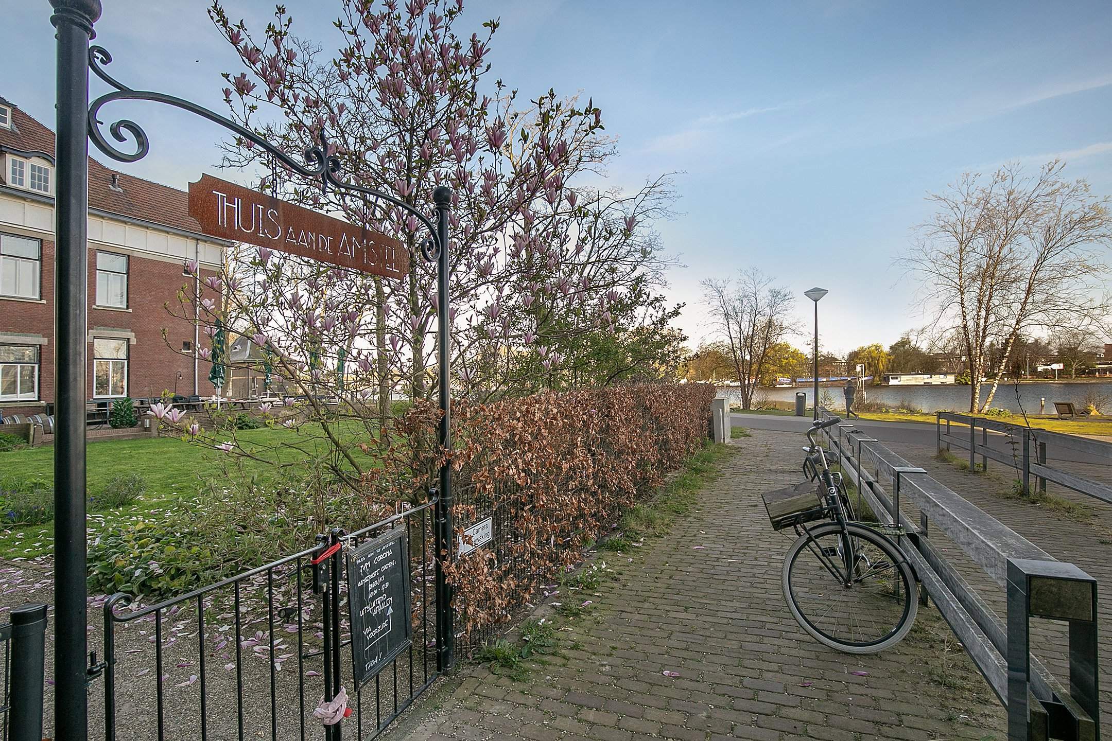 Afbeelding 3 van 17