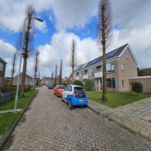 Afbeelding 5 van 5