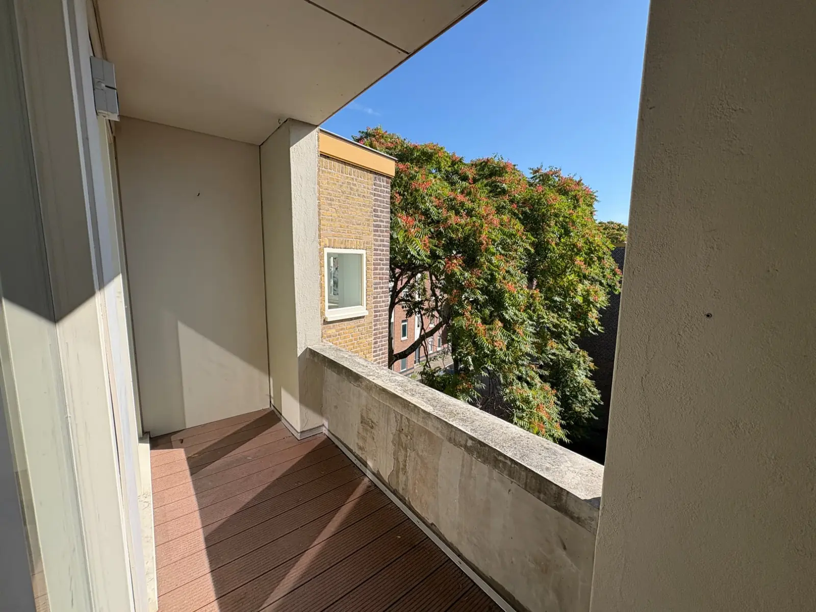 Image 16 of 17