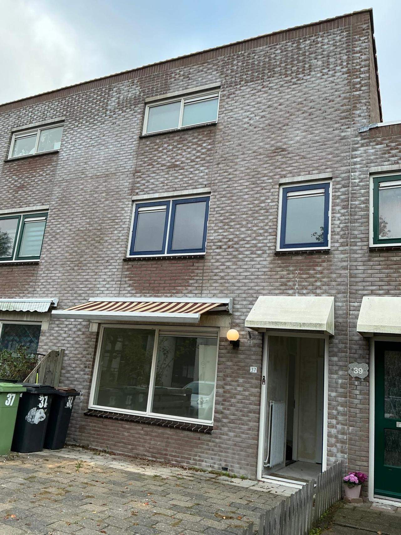 Afbeelding 8 van 9