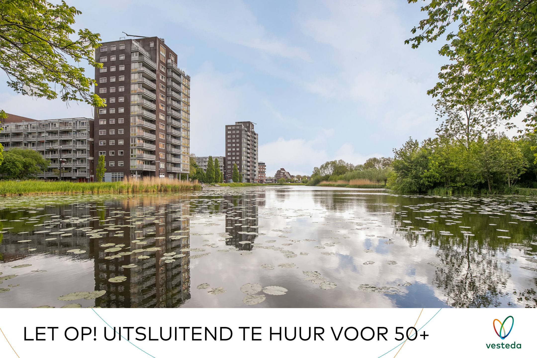 Afbeelding 3 van 3