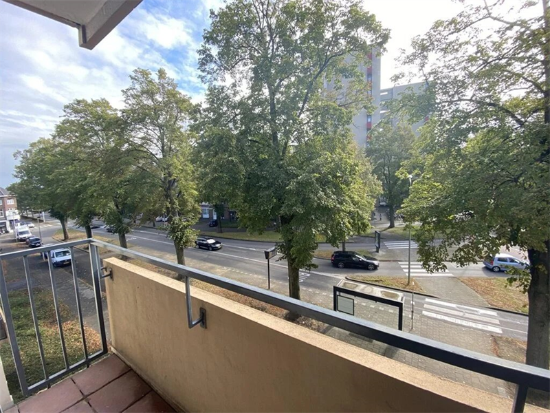 Image 19 of 21