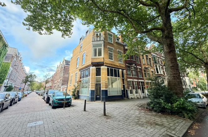 Afbeelding 8 van 10