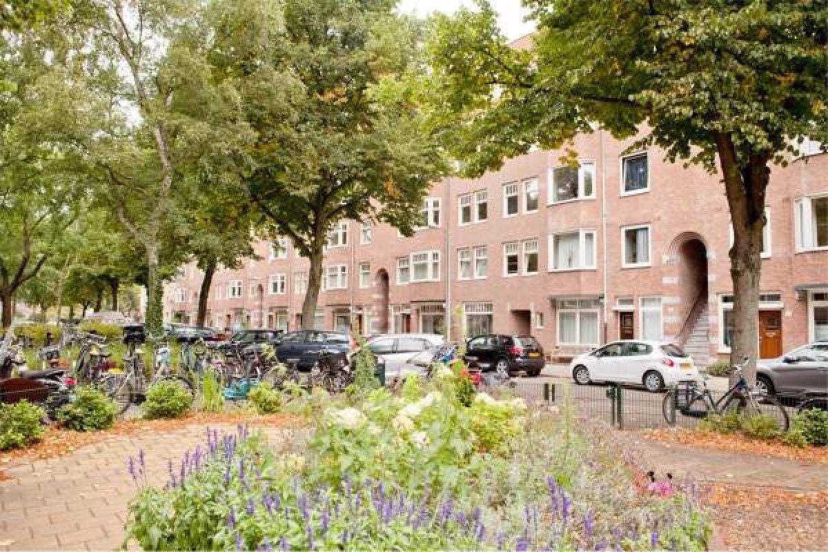 Afbeelding 16 van 16