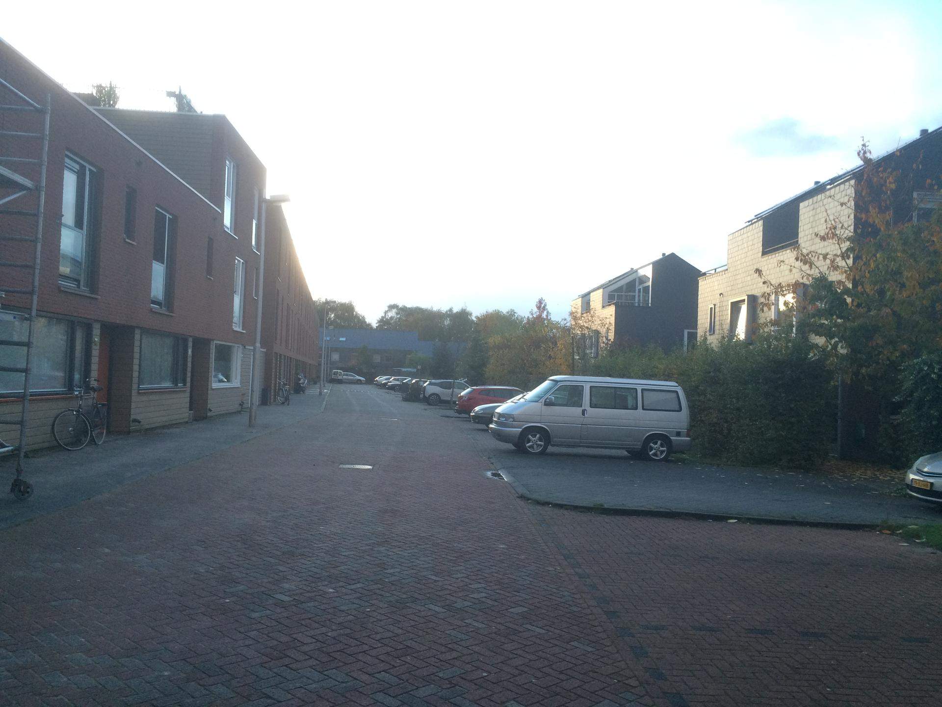 Afbeelding 1 van 9