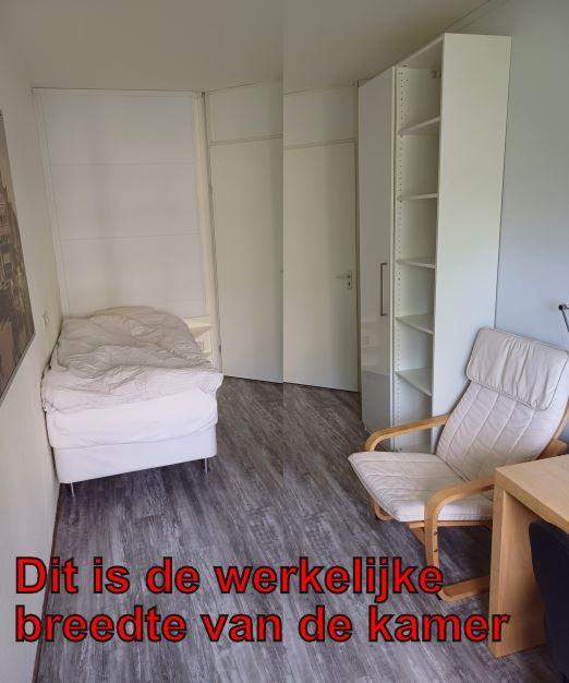 Afbeelding 1 van 8