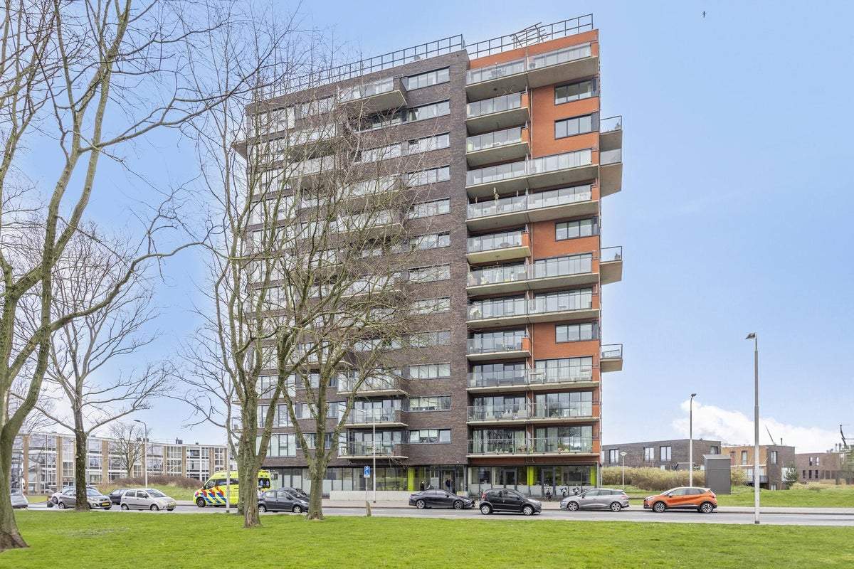 Afbeelding 2 van 25