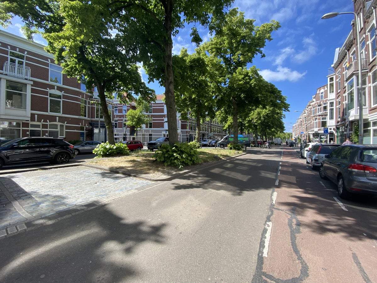 Afbeelding 1 van 24
