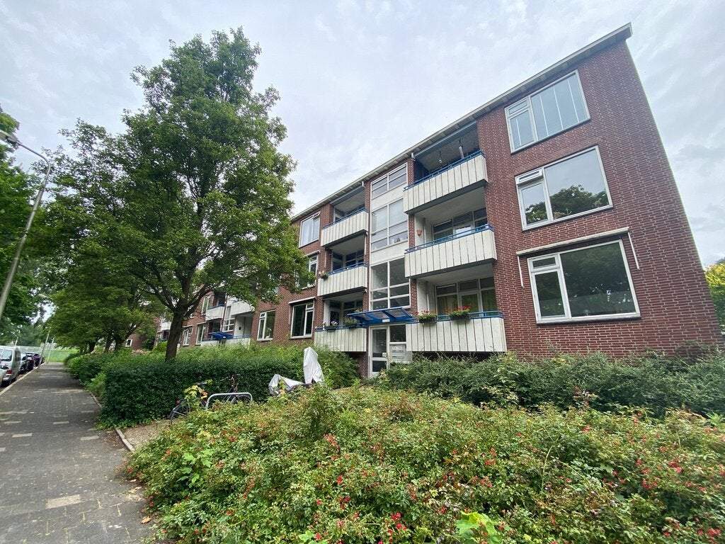 Bild 1 von 38