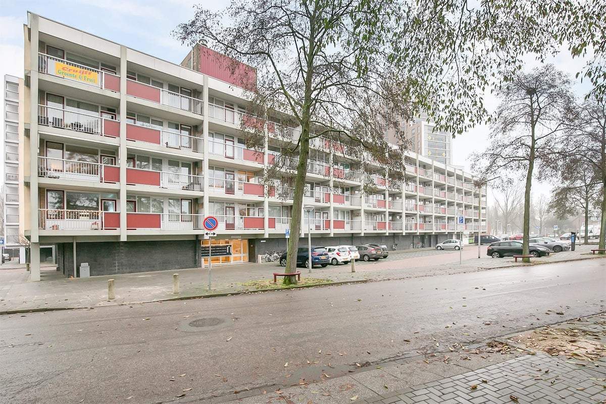 Afbeelding 2 van 23