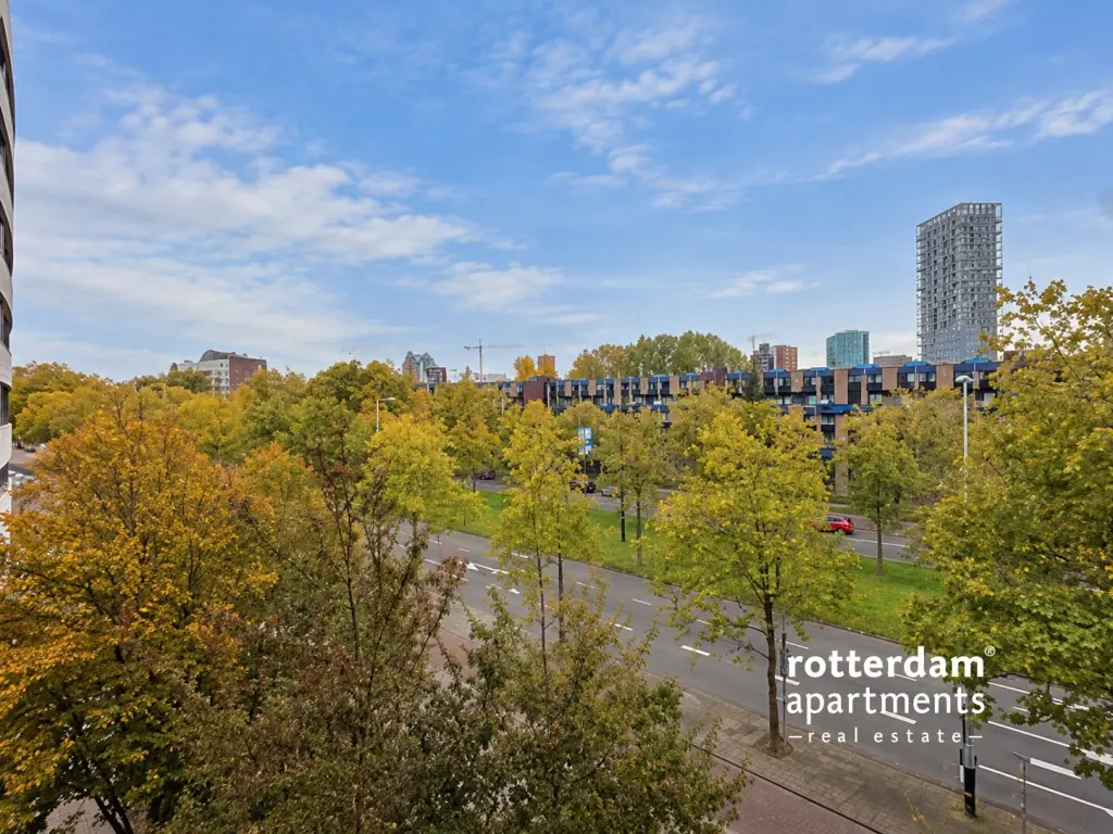 Image 19 of 27