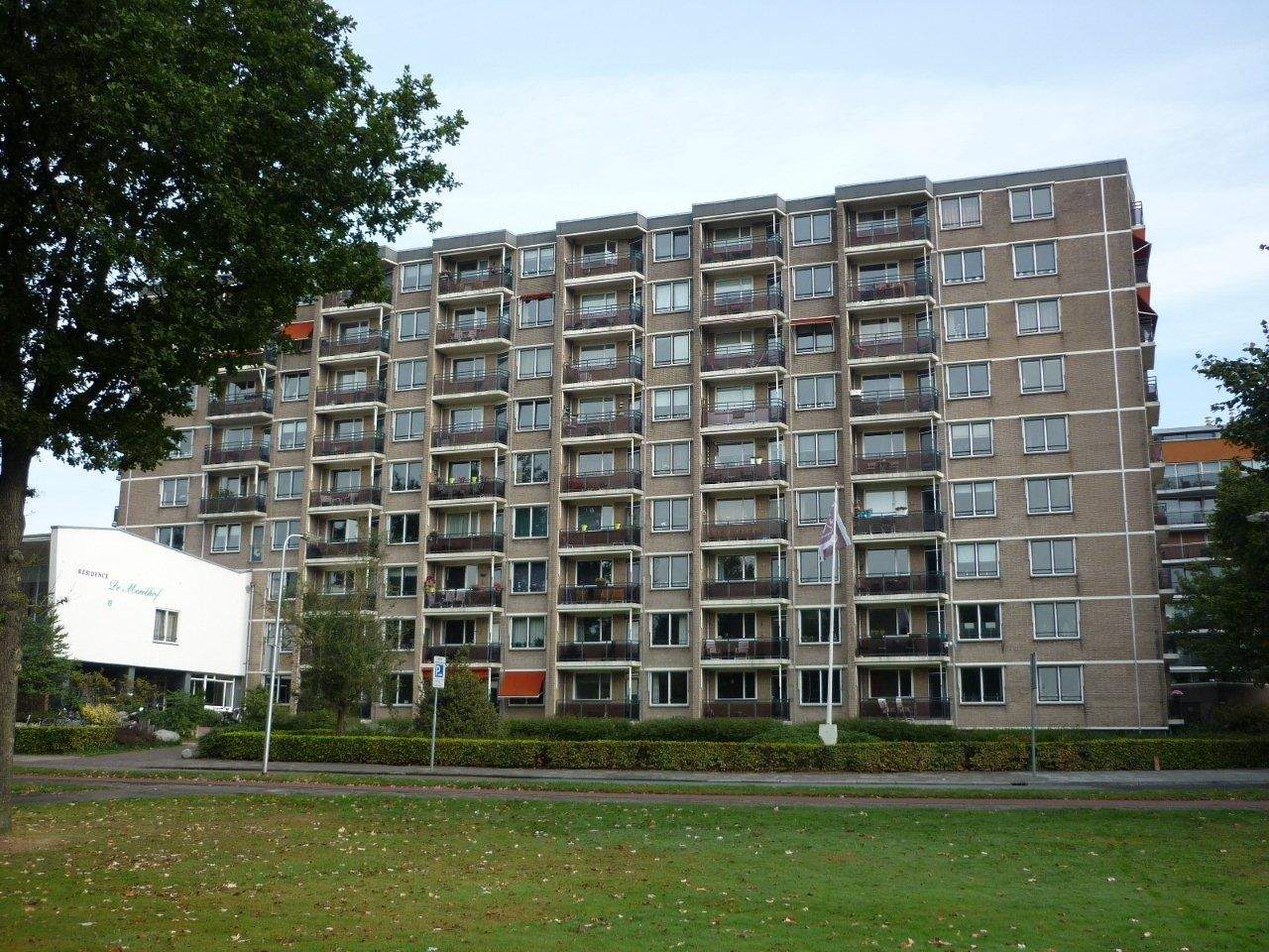 Afbeelding 3 van 10