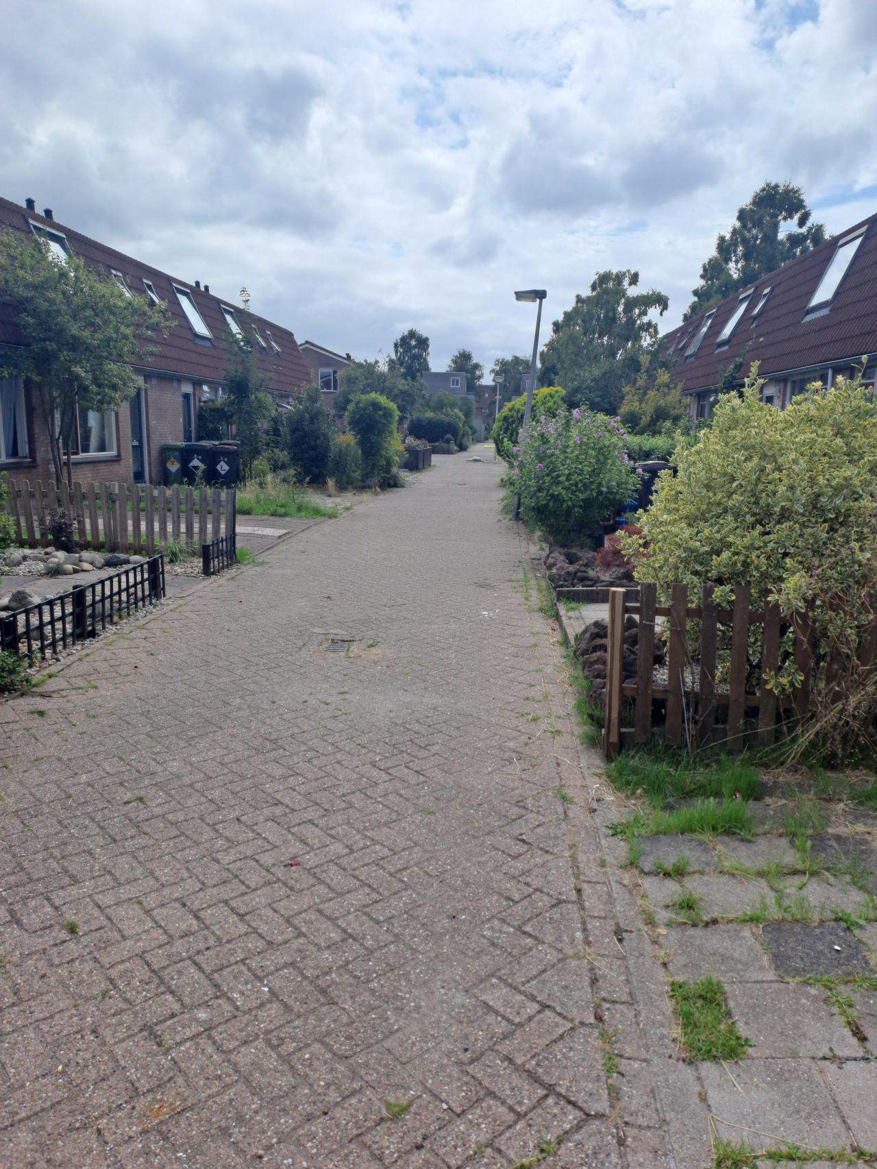 Afbeelding 4 van 9