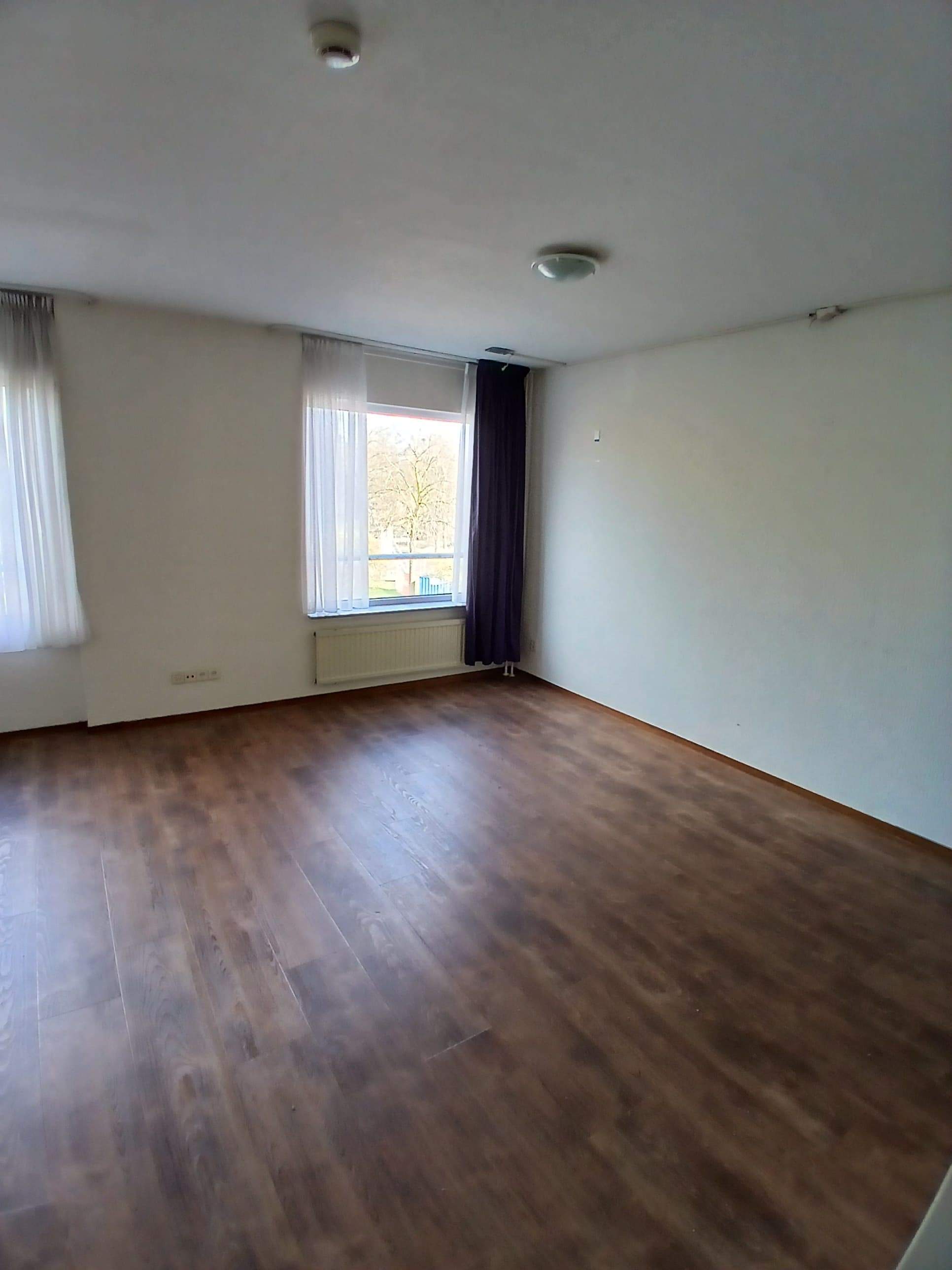 Bild 2 von 3