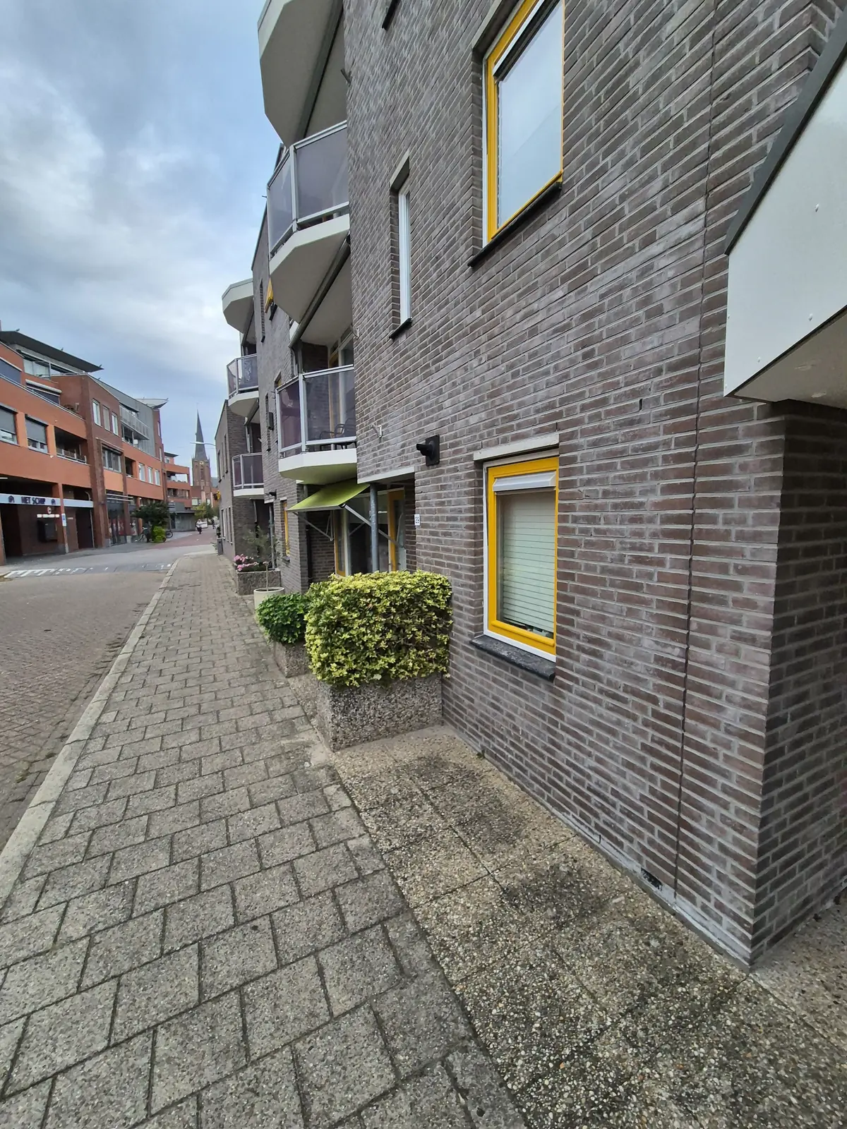 Afbeelding 5 van 5