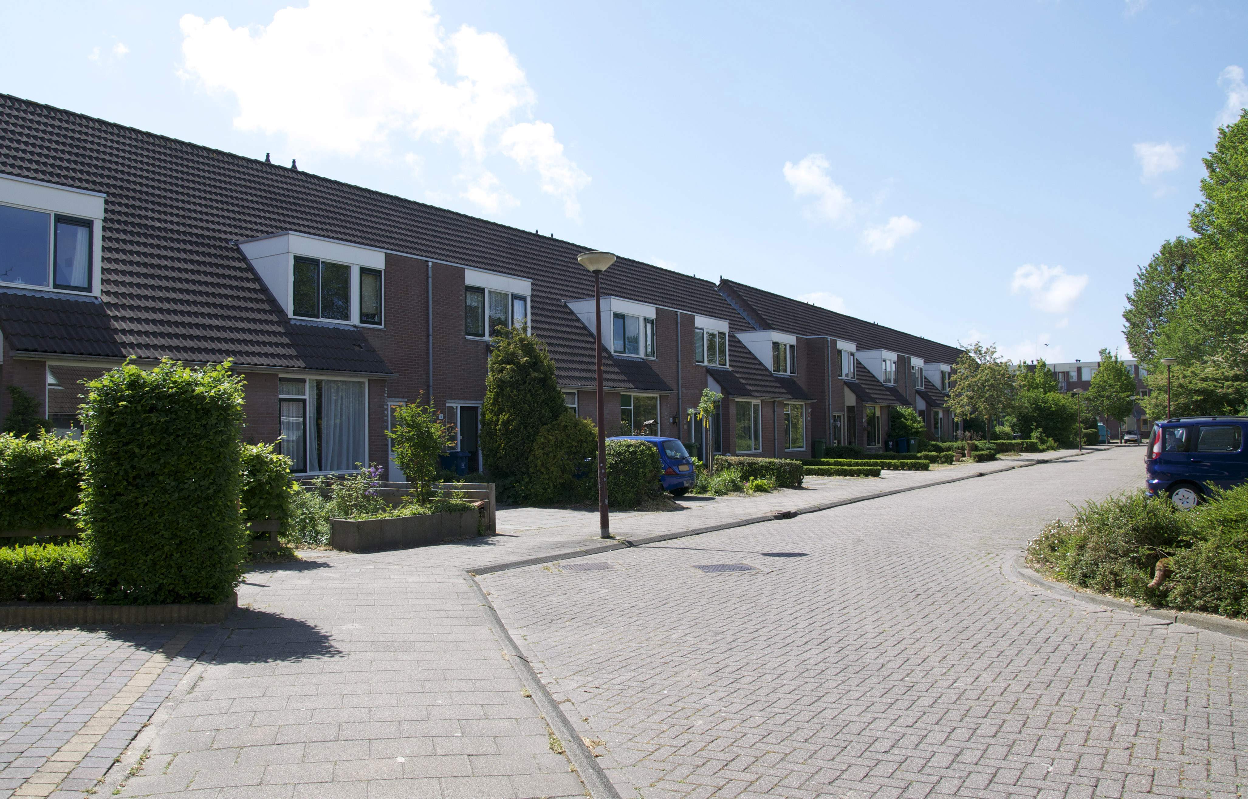 Bild 1 von 1