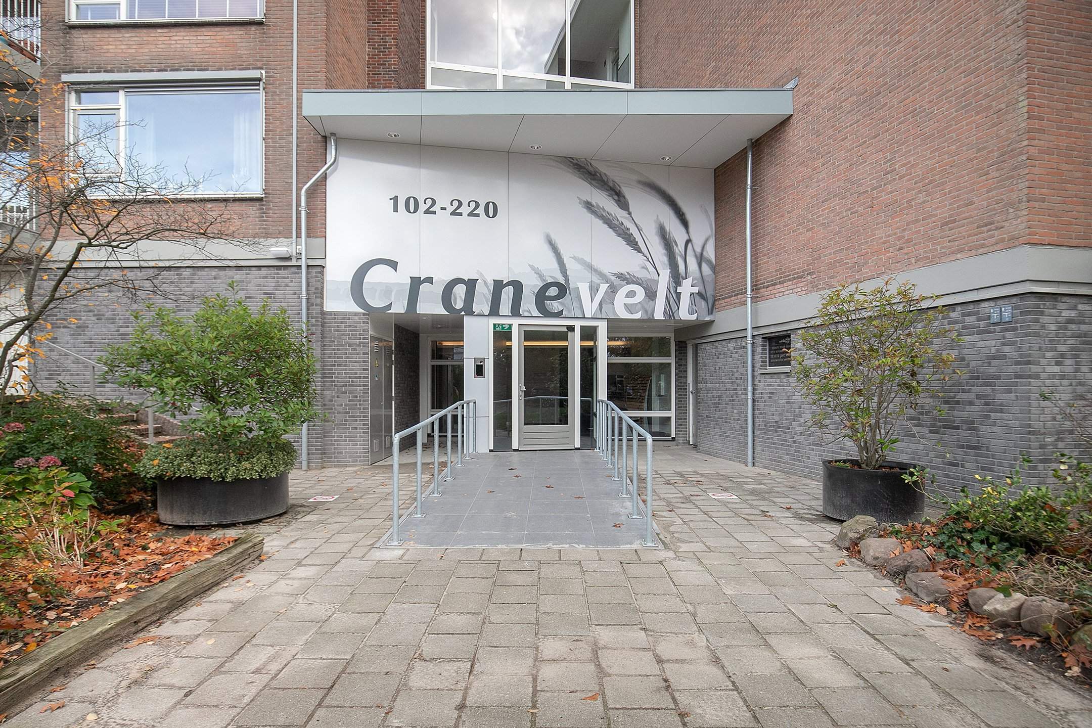 Afbeelding 3 van 25