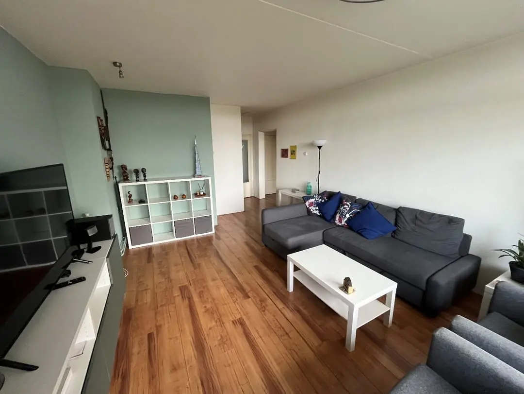 Image 2 of 13