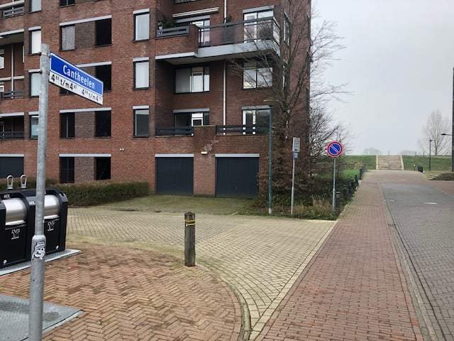 Afbeelding 3 van 12