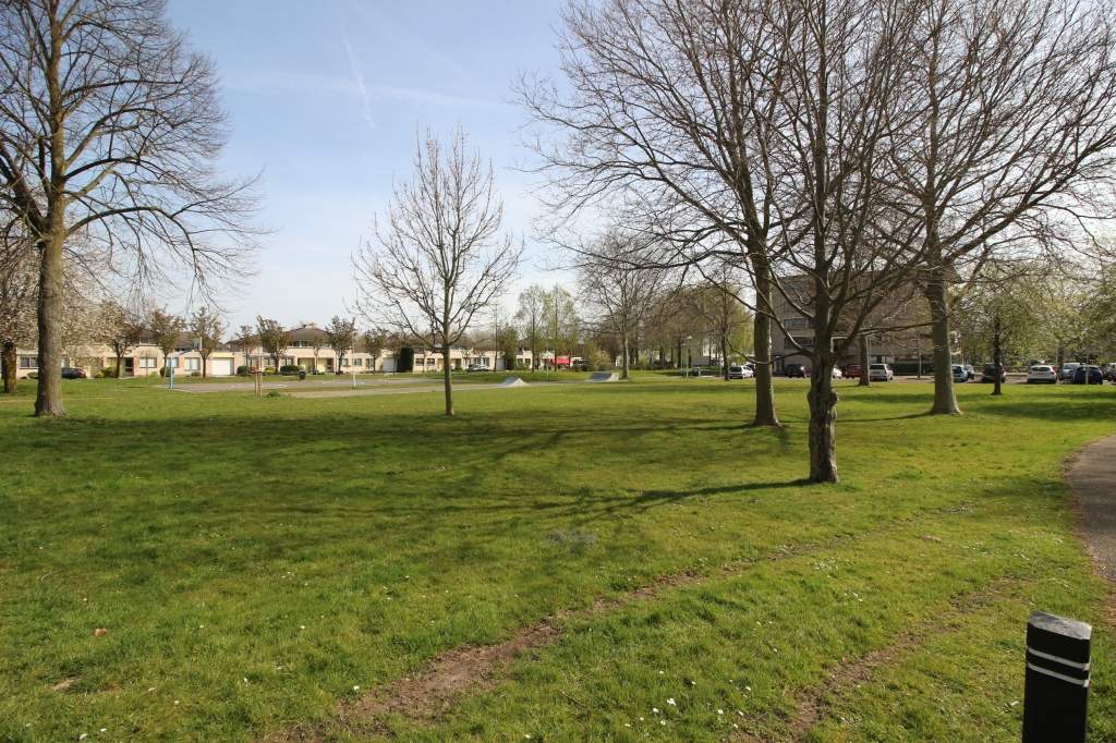 Image 29 of 29