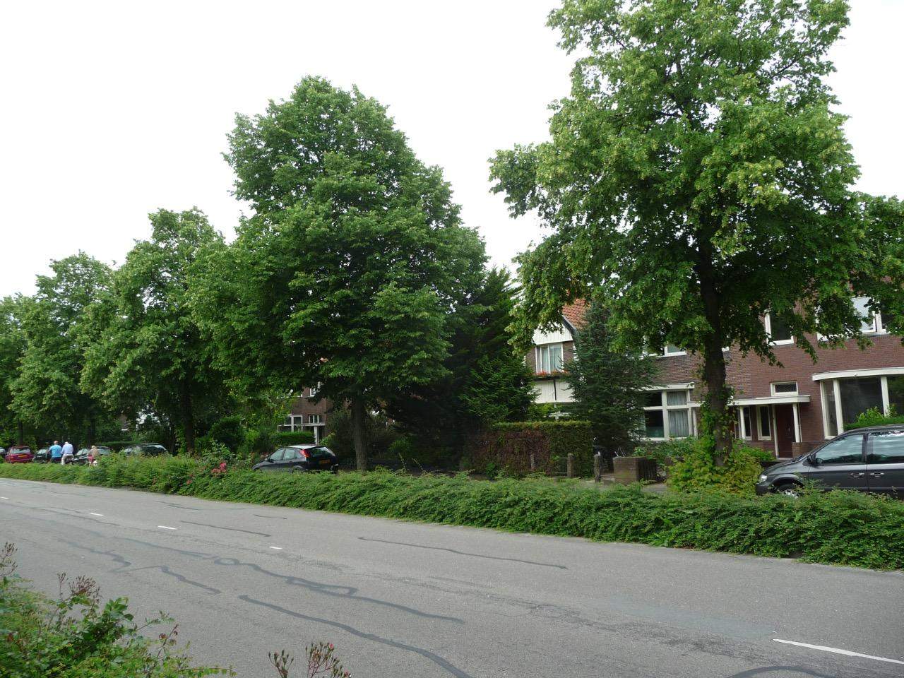 Bild 1 von 4