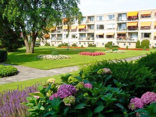 Bild 1 von 15