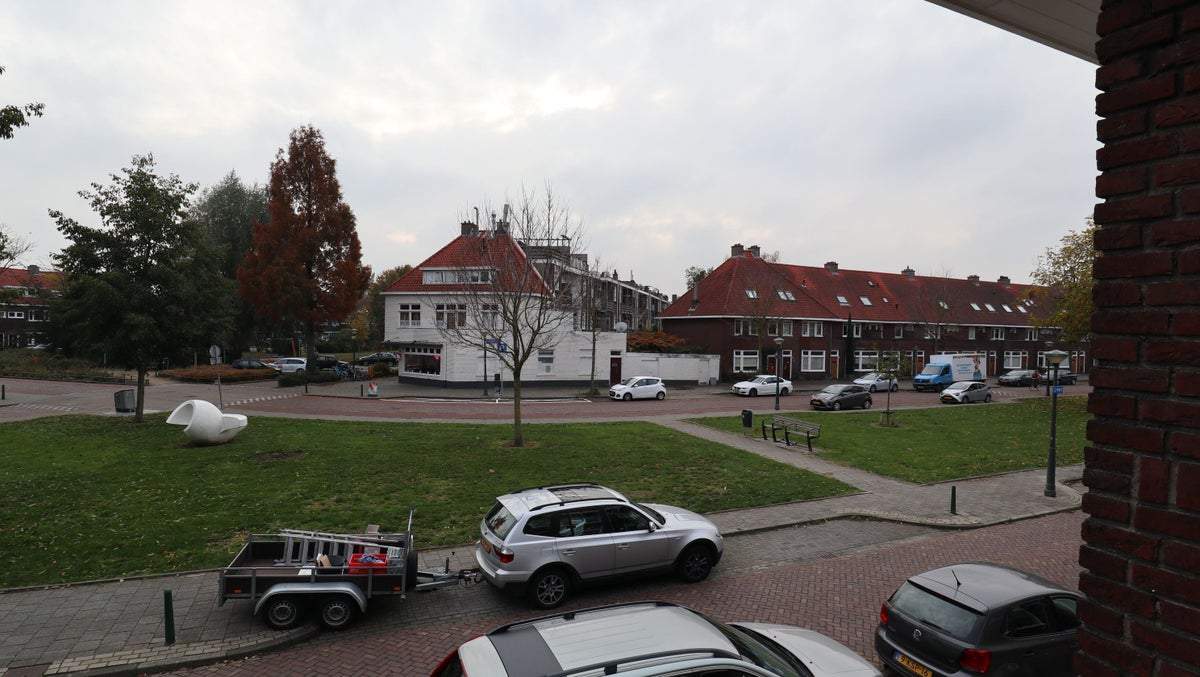 Afbeelding 3 van 13
