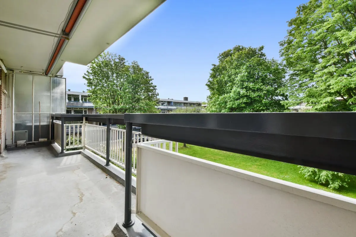 Image 15 of 15